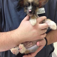 Primary Pet Care Stow Veterinarian