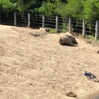 Photo taken at Black Rhino/Nile Hippo Exhibit by Jeff W. on 9/7/2019