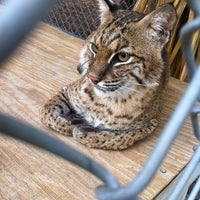 Back To Nature Wildlife Refuge Other Great Outdoors In Orlando