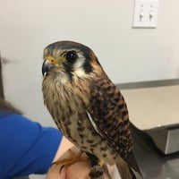 Das Foto wurde bei Audubon Center for Birds of Prey von Lindsay am 12/25/2017 aufgenommen