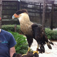8/3/2013에 Lindsay님이 Audubon Center for Birds of Prey에서 찍은 사진
