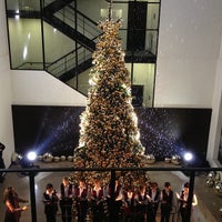 burberry head office