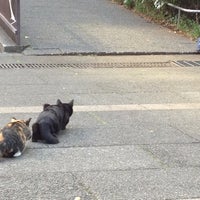東池袋中央公園 豊島区 1487人の訪問者 から 8個のtips 件