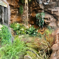 Photo taken at Rainforest Cafe by Can E. on 1/20/2021