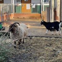 1/19/2023 tarihinde Gareth B.ziyaretçi tarafından Vauxhall City Farm'de çekilen fotoğraf