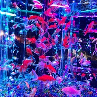 Photo taken at Art Aquarium by 渋谷 在. on 9/18/2019