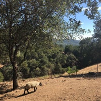 Foto scattata a Kuleto Estate da Alexandra P. il 7/26/2018