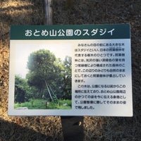Photo taken at おとめ山公園のスダジイ by Massara Nati …. on 1/10/2016