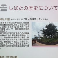 山本周五郎文学碑 樅ノ木は残った 船岡館山95 1