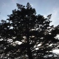 樅ノ木は残った 展望デッキ 1 Tip From Visitors