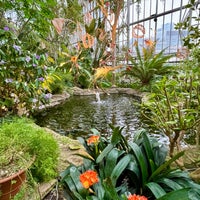 Photo taken at Barbican Conservatory by Patrizia on 3/17/2024