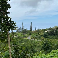 6/30/2023 tarihinde Jay N.ziyaretçi tarafından Heavenly Hawaiian Farms'de çekilen fotoğraf
