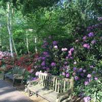 Photo taken at Rhododendron Dell by Matthew R. on 5/22/2016
