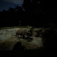 12/6/2023 tarihinde Danyziyaretçi tarafından Night Safari'de çekilen fotoğraf