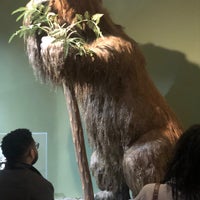 Photo taken at Fernbank Museum of Natural History by Jeana Rachelle B. on 2/17/2024