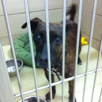 calumet area humane society