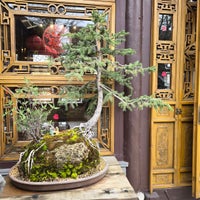 3/5/2024にWarNovがLan Su Chinese Gardenで撮った写真