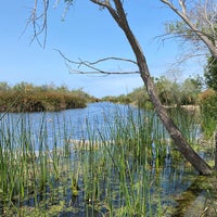 Photo taken at Ballona Freshwater Marsh by Alex L. on 5/21/2024
