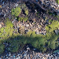 Photo taken at Mount Tamalpais State Park by Alex L. on 12/18/2022