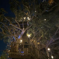 Photo taken at Tarzan&amp;#39;s Treehouse by Tammy M. on 11/9/2023