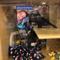 Photo taken at PetSmart by Victoria M. on 2/14/2018