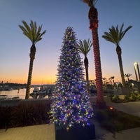 Photo taken at Marina del Rey Harbor by Victoria M. on 12/4/2024