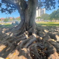 Photo taken at Exposition Park by Victoria M. on 6/26/2022