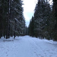 Photo taken at Линдуловская роща by Dmitriy Pr. P. on 2/18/2022