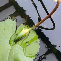 Photo taken at Kuil Hosei-ji by doubledee h. on 3/5/2024