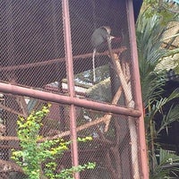 Photo taken at White Face Gibbon by Phisit S. on 12/29/2012