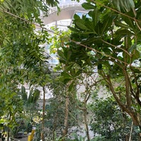 板橋区立 熱帯環境植物館 9 Tips From 460 Visitors 板橋区立 熱帯環境植物館 9 Tips From 460 Visitors