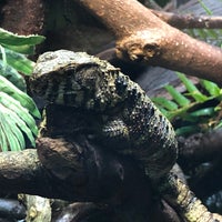 Photo taken at Reptile House by Bill H. on 9/6/2020