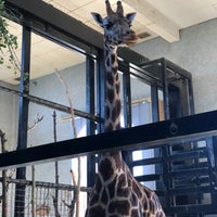 Photo taken at Giraffe House by Bill H. on 9/6/2020