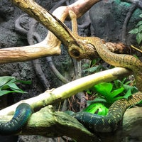 Photo taken at Reptile House by Bill H. on 9/6/2020