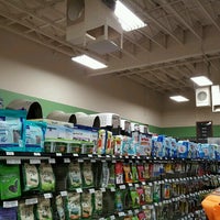 Choice Pet Market 2 tips