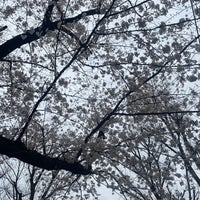 Photo taken at Nishi-Ikebukuro Park by 昼寝 on 3/21/2023