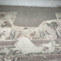 Foto tirada no(a) Büyük Saray Mozaikleri Müzesi por Saffet O. em 1/25/2023