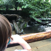 Photo taken at Otters@ Zoo by D C. on 9/13/2020