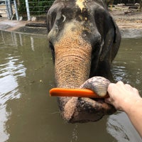 Photo taken at Elephants of Asia by D C. on 10/18/2020
