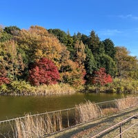 Photo taken at 北総花の丘公園 by どん兵衛 on 11/29/2023