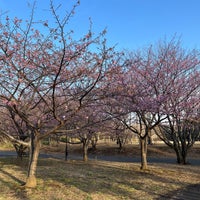 Photo taken at 北総花の丘公園 by どん兵衛 on 2/24/2024