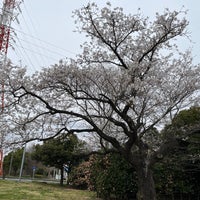 Photo taken at 北総花の丘公園 by どん兵衛 on 3/21/2023