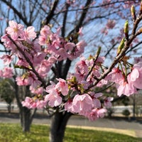Photo taken at 北総花の丘公園 by どん兵衛 on 3/30/2024