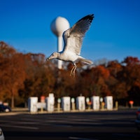 Photo taken at Chesapeake House Travel Plaza by Tarik S. on 11/20/2023