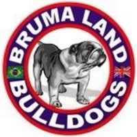 Photo taken at Bruma Land Bulldogs by Marina B. on 2/23/2014