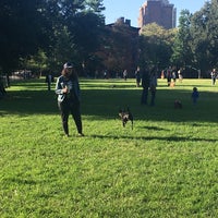 Photo taken at Fort Greene Dog Park by Jessica M. on 9/10/2017