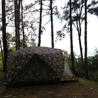 Camp pinewood code