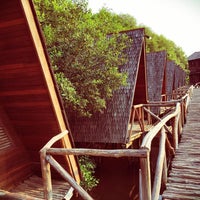Taman Wisata Alam Hutan Mangrove Pik Taman Wisata Alam Hutan Mangrove Pik