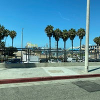 8/14/2020 tarihinde Jason D.ziyaretçi tarafından Santa Monica Pier Aquarium'de çekilen fotoğraf