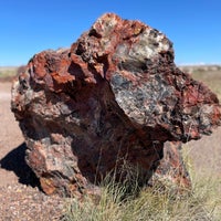 Photo taken at Petrified Forest National Park by Jason D. on 10/6/2021